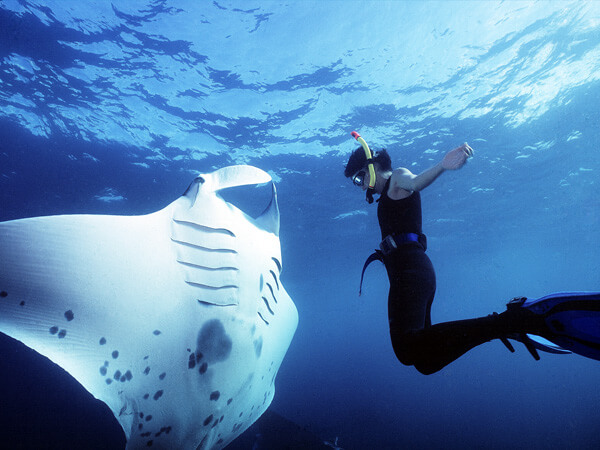 Hidden Gems in the Maldives You Haven’t Seen