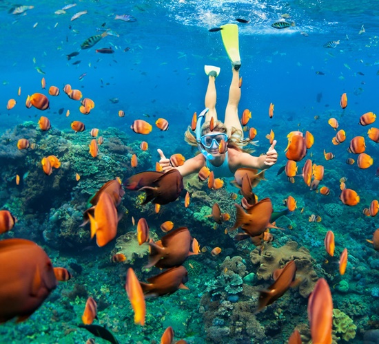 Coral Garden Snorkeling