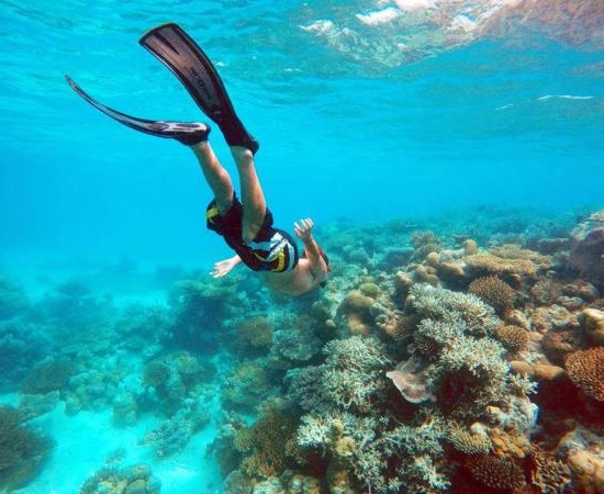 Snorkeling in Maldives Half-day trip